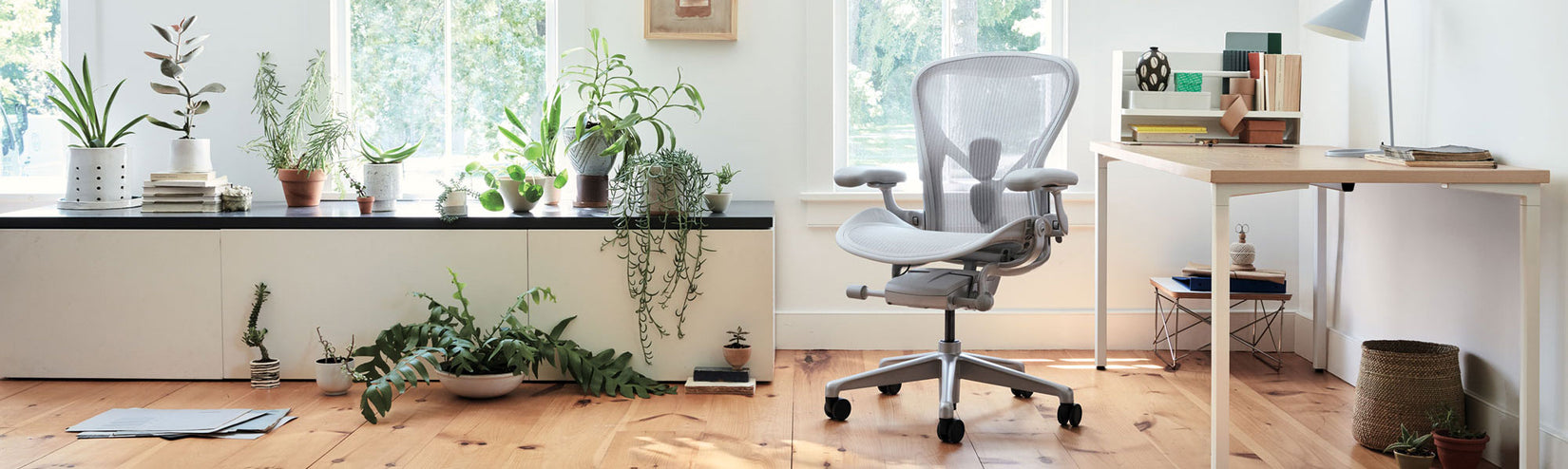 Chaise Aeron de Herman Miller en minéral avec bureau à hauteur fixe OE1 avec cadre blanc et plateau en frêne dans un bureau à domicile lumineux et rempli de plantes