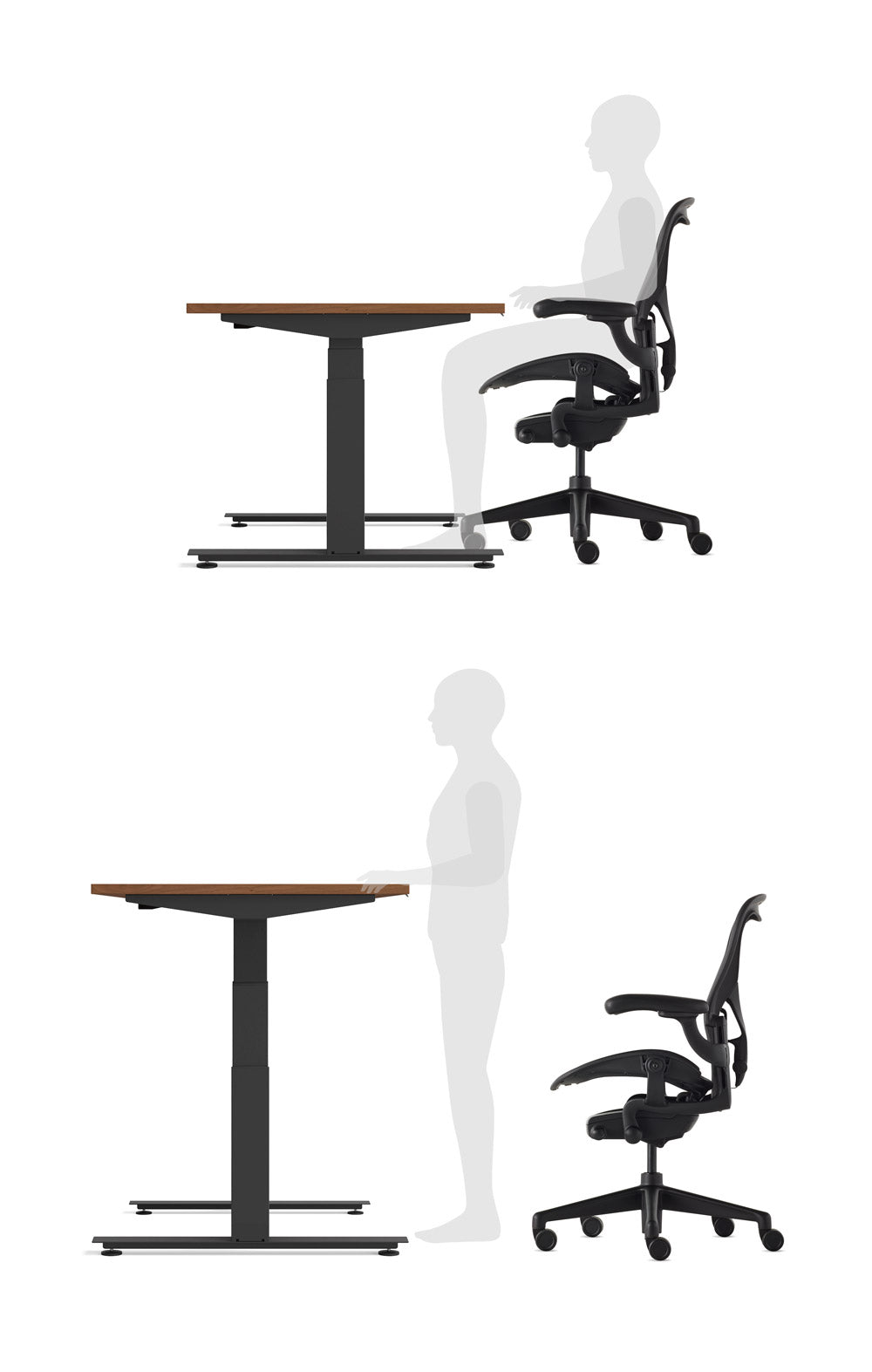 Image graphique montrant une personne utilisant un bureau assis-debout Nevi en position assise et debout
