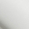 colour_Blanc