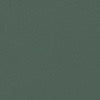 colour_Vert sapin