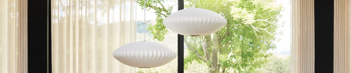 Nelson Bubble dans un environnement domestique