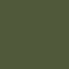 colour_Vert algue