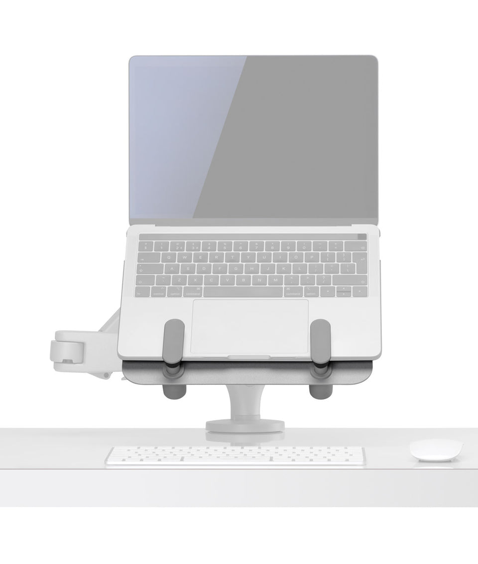 Support pour tablette et ordinateur portable Ollin