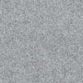 colour_Gris froid